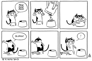 Illustration for article titled Seriously, Cats?